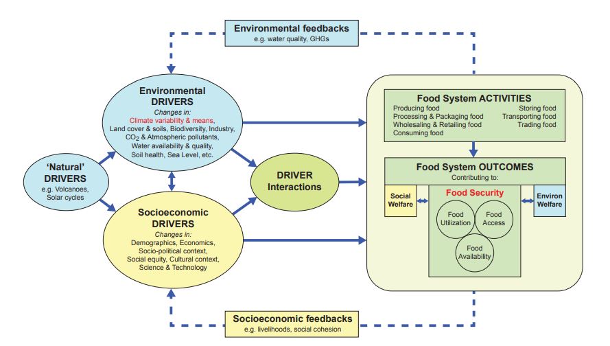 Climate and food security