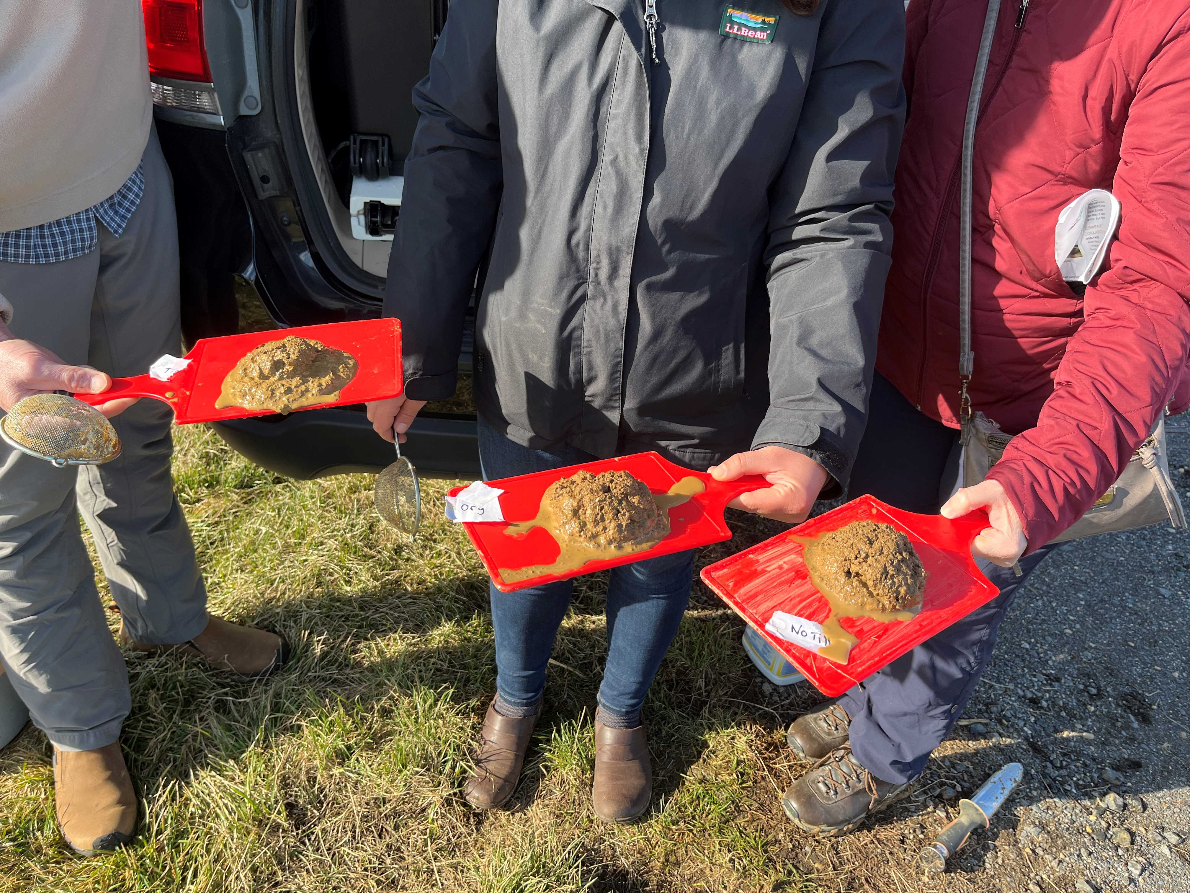 After sitting in water for about a minute, the strainers are overturned onto a flat surface.  The conventionally tilled soil on the far left did not hold its shape, indicating low aggregate stability and likely less biological activity. The soil that held its shape the best was the no-till soil on the far right.