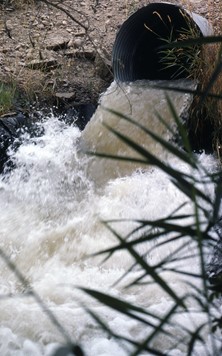 a culvert spewing water during a high flow event