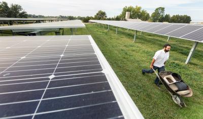 A man walks between rows of solar panels with a wheelbarrow in tow.