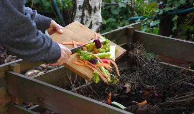 An image of food being scraped onto a compost pile. 