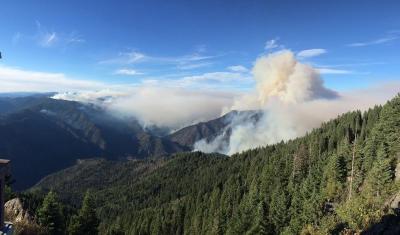 USDA Flickr image - California forest in smoke 