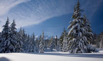 Winter on the Deschutes National Forest