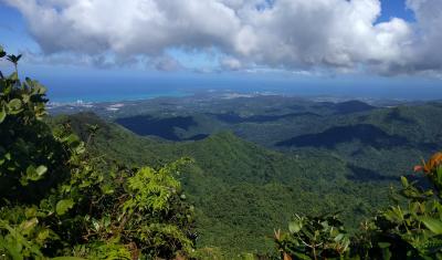 El Yunque National Rainforest, Puerto Rico