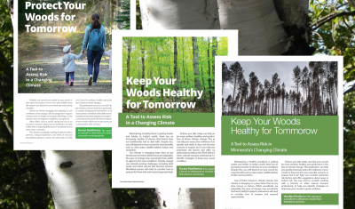 Covers of brochures