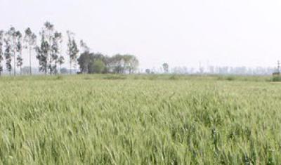 Climate-smart nutrient management project