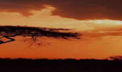 Senegal landscape