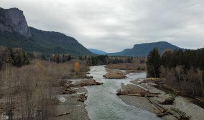 A river running through the Gifford Pinchot National Forest