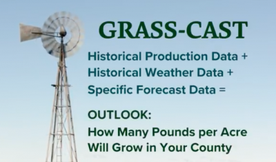 grass-cast video screenshot with windmill