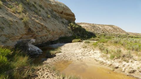 Drought Mitigation through Land Management and Water Distribution for Wild Horses