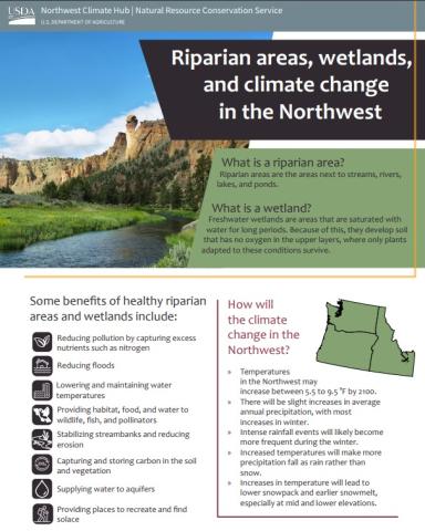 screenshot of the first page of NW Riparian areas and wetlands factsheet