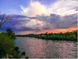 The Rio Grande in the North Valley of Albuquerque, NM.