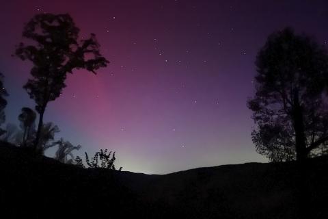 Northern lights. Monongahela National Forest just outside Richwood, WV, along Summit Lake Road.(USDA Forest Service photo by Kelly Perrine)