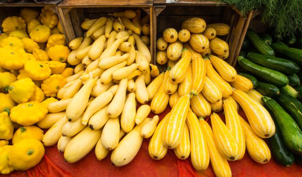 Vegetable