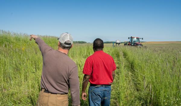 Bittner is a no-till farmer and directly plants his corn seed into his cover crops. The cover crops are made of a diverse 12 seed mix 