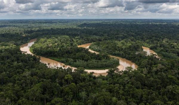 The Amazon River winds through the rainforest in Peru.