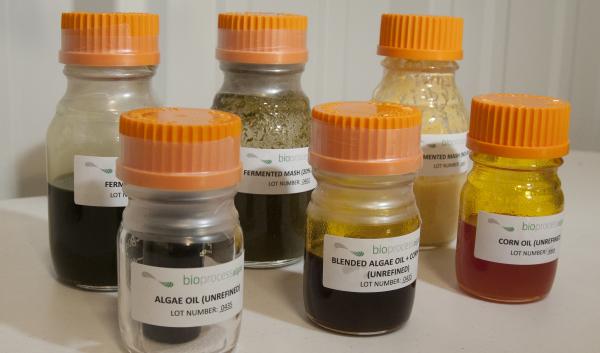 6 jars with orange lids each filled with a different biofuel