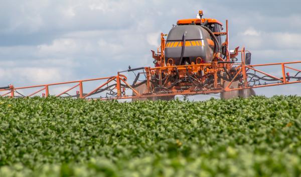  soybean plantation in Brazil