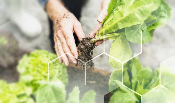 Smart farming green plant product agricultural technology background