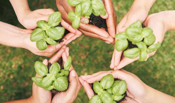 hands of a global community using teamwork and collaboration