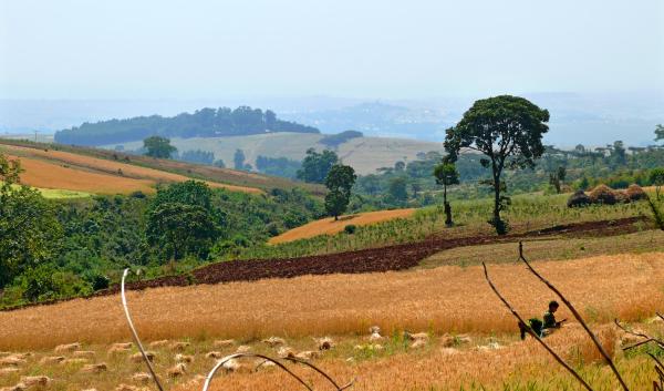 Ethiopia