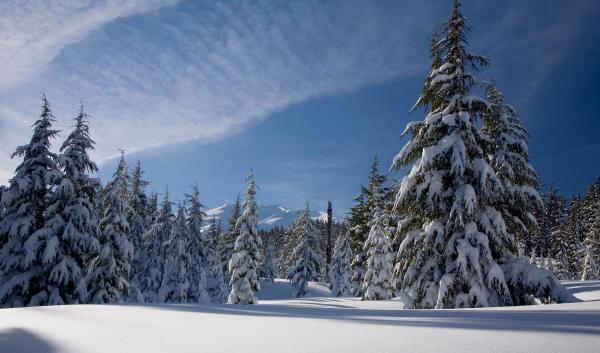 Winter on the Deschutes National Forest