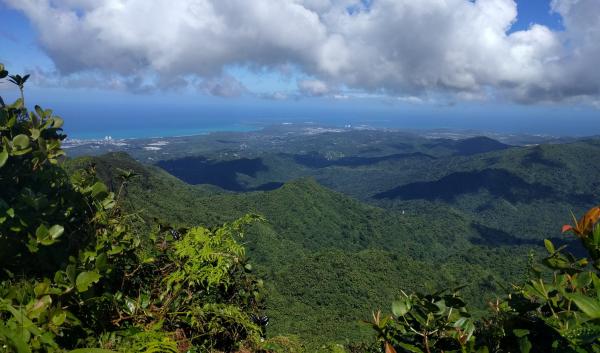 El Yunque National Rainforest, Puerto Rico