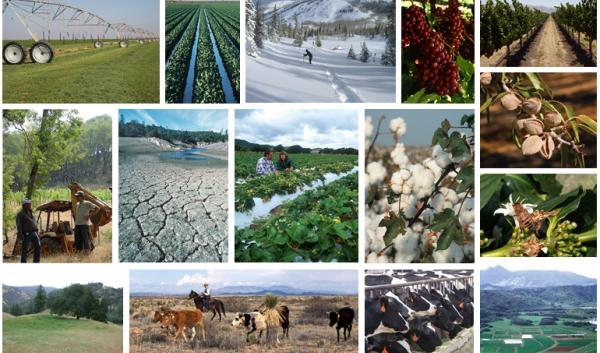 Agriculture and forests in the SW Hub region