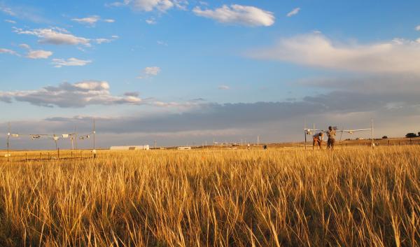 study sites in field