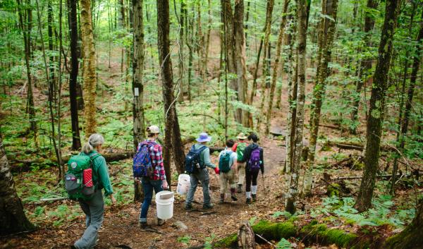 A citizen science volunteer group sets out on sugar maple regeneration project. Photo by Emily Lord.