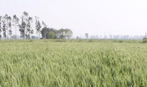Climate-smart nutrient management project