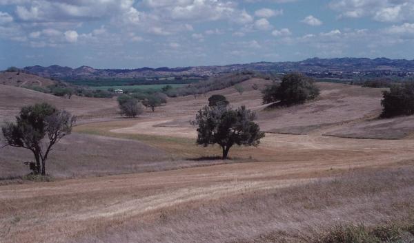 Drought conditions in Cabo Rojo, Puerto Rico. Photo by Samuel Rios, NRCS. 