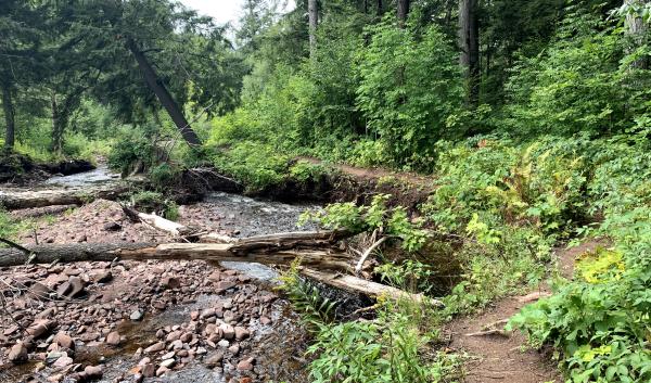 River with a trail on the bank