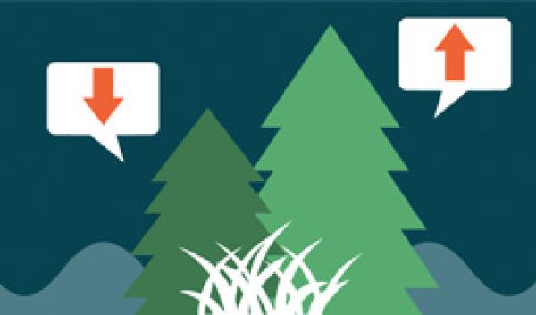 tree icon