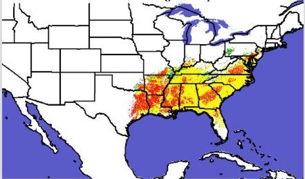 Loblolly Pine range map_screenshot from tool website